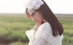 办公室的秘密赵雪晴全文免费